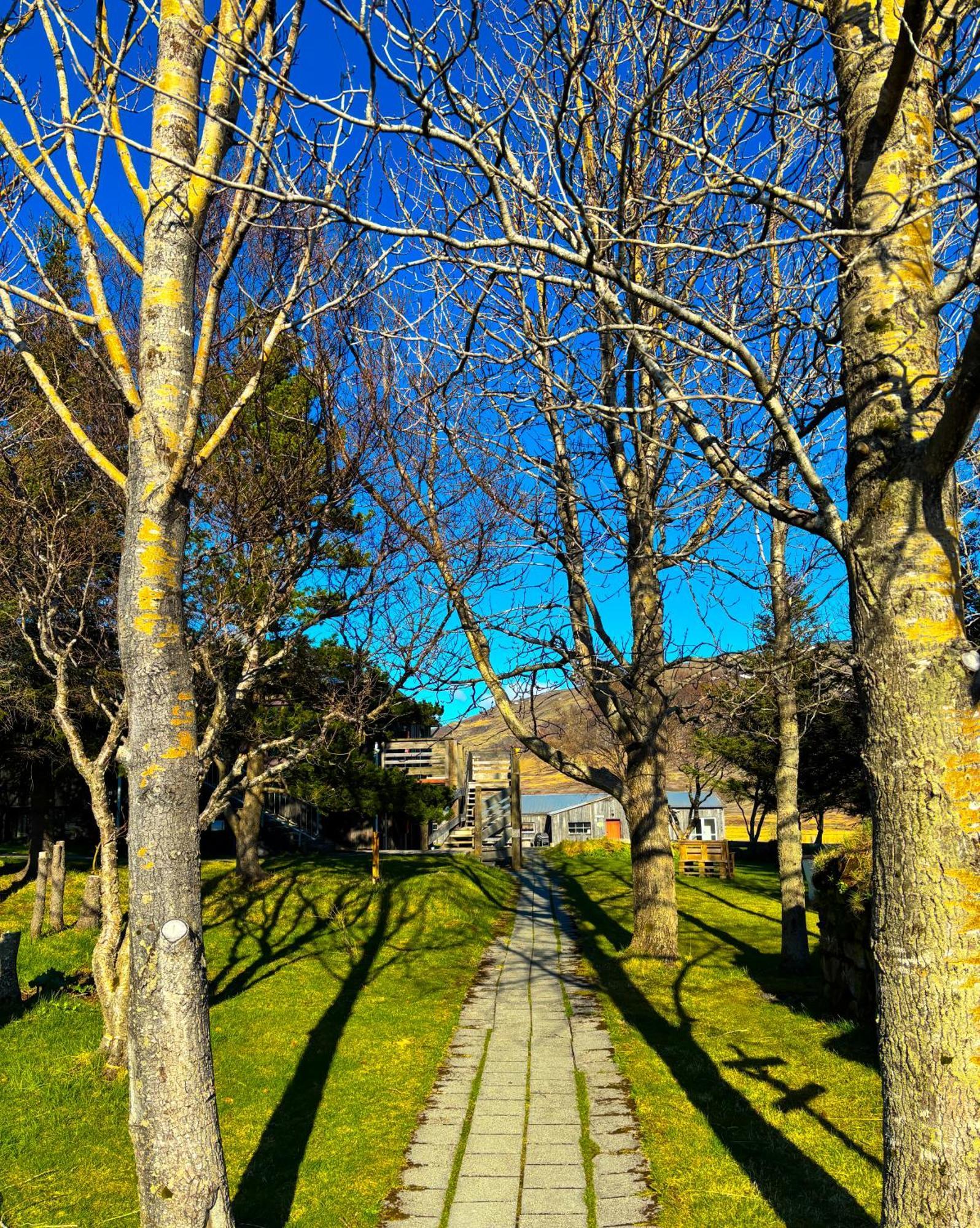 Bru Country Estate Hotel Selfoss Ngoại thất bức ảnh
