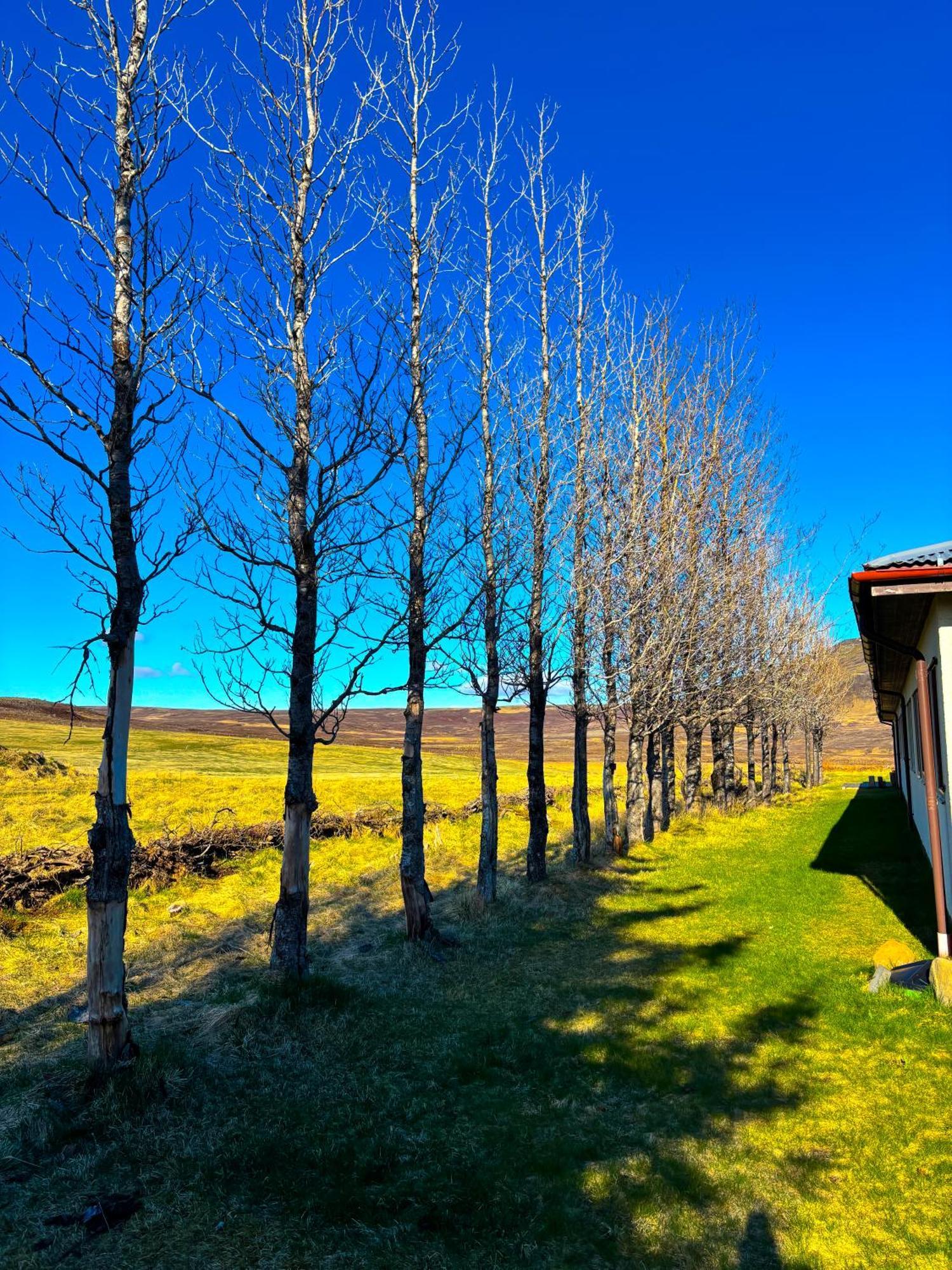 Bru Country Estate Hotel Selfoss Ngoại thất bức ảnh